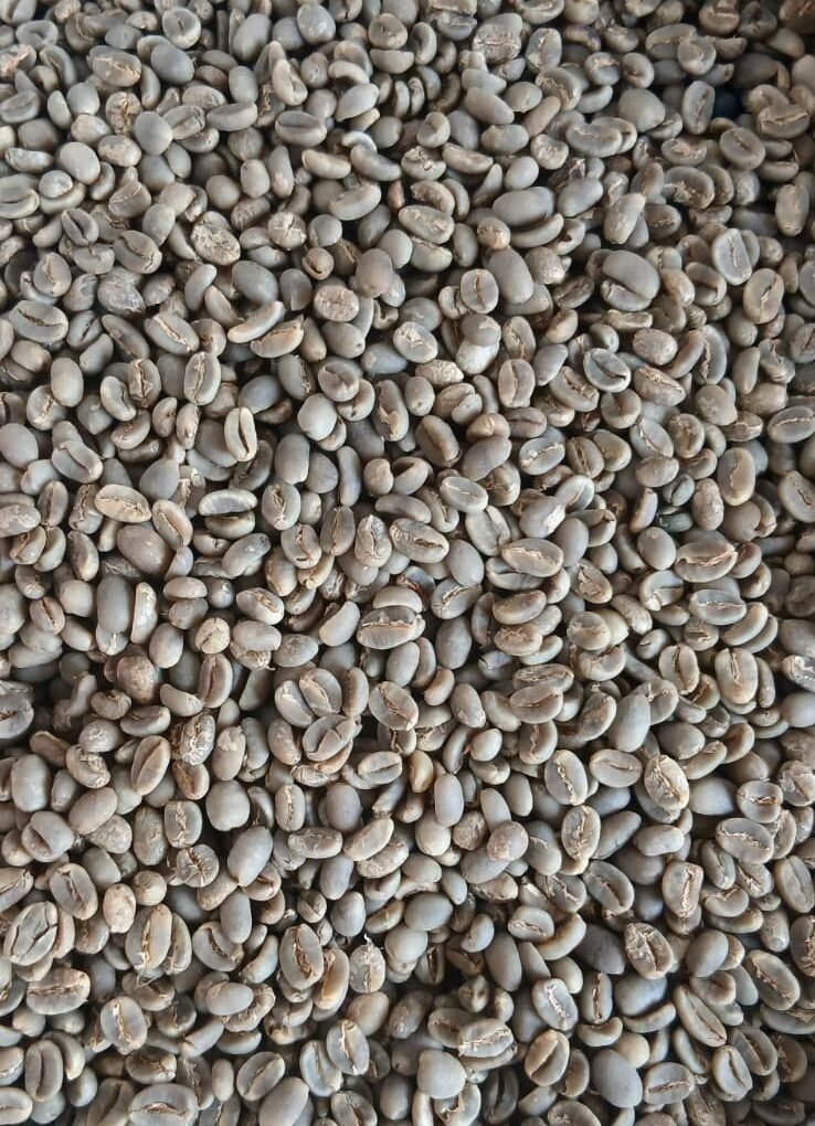 Indonesian Specialty Coffee Beans