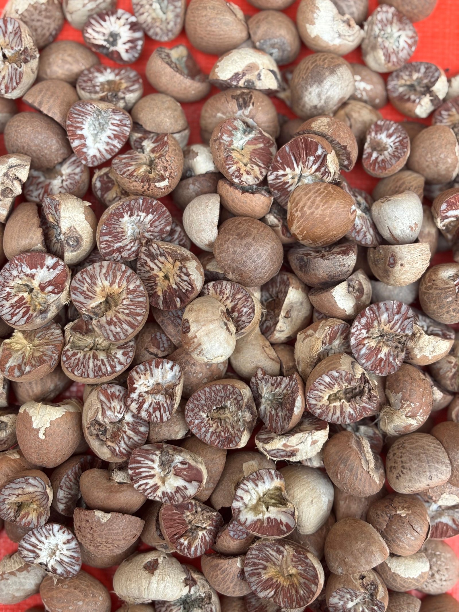 Premium Indonesian Dried Areca Nut